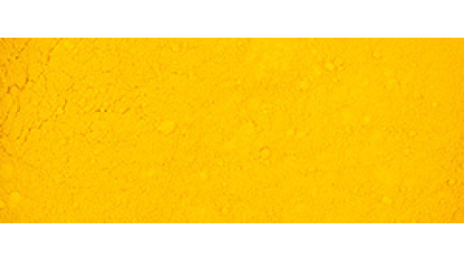 Renesans Pigment ŻÓŁTA CHROMOWA (IMITACJA) PY74 50g