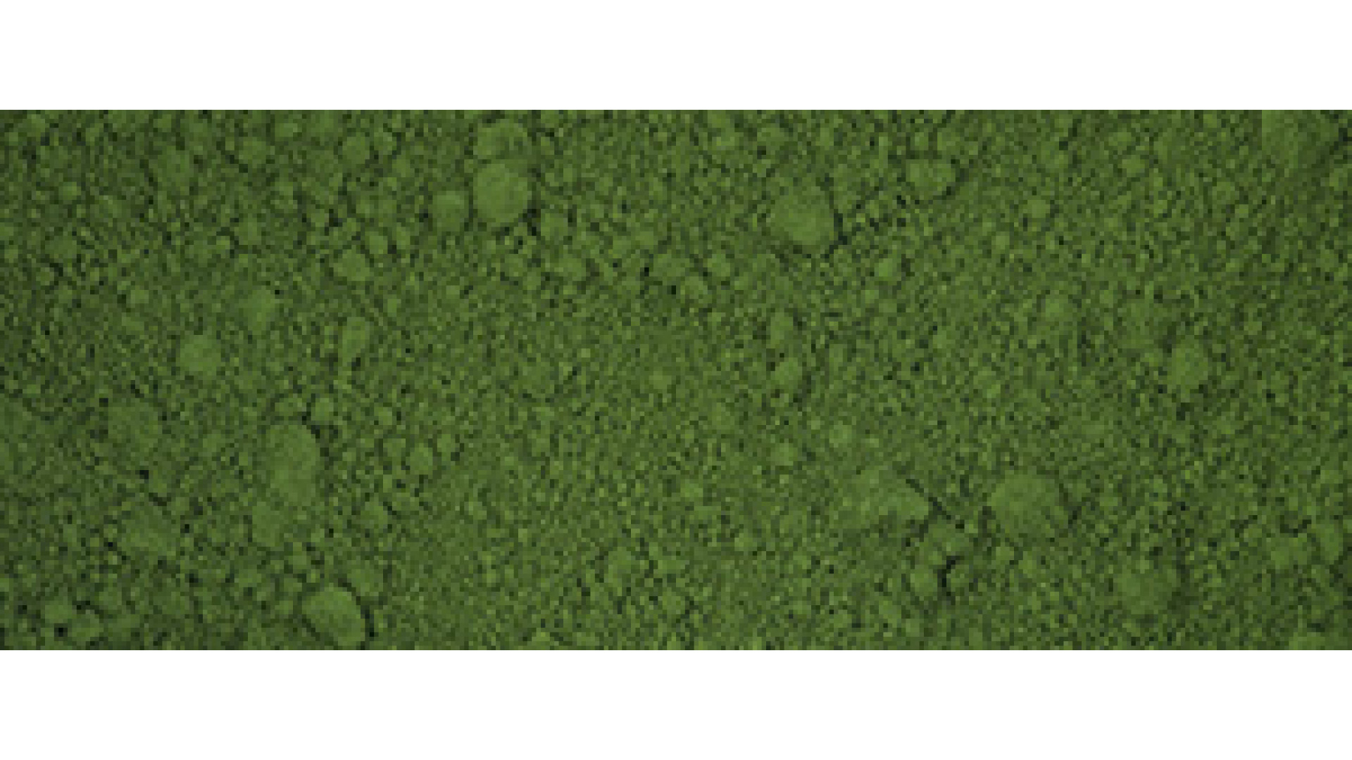 Renesans Pigment ZIELEŃ CHROMOWA PG17 50g