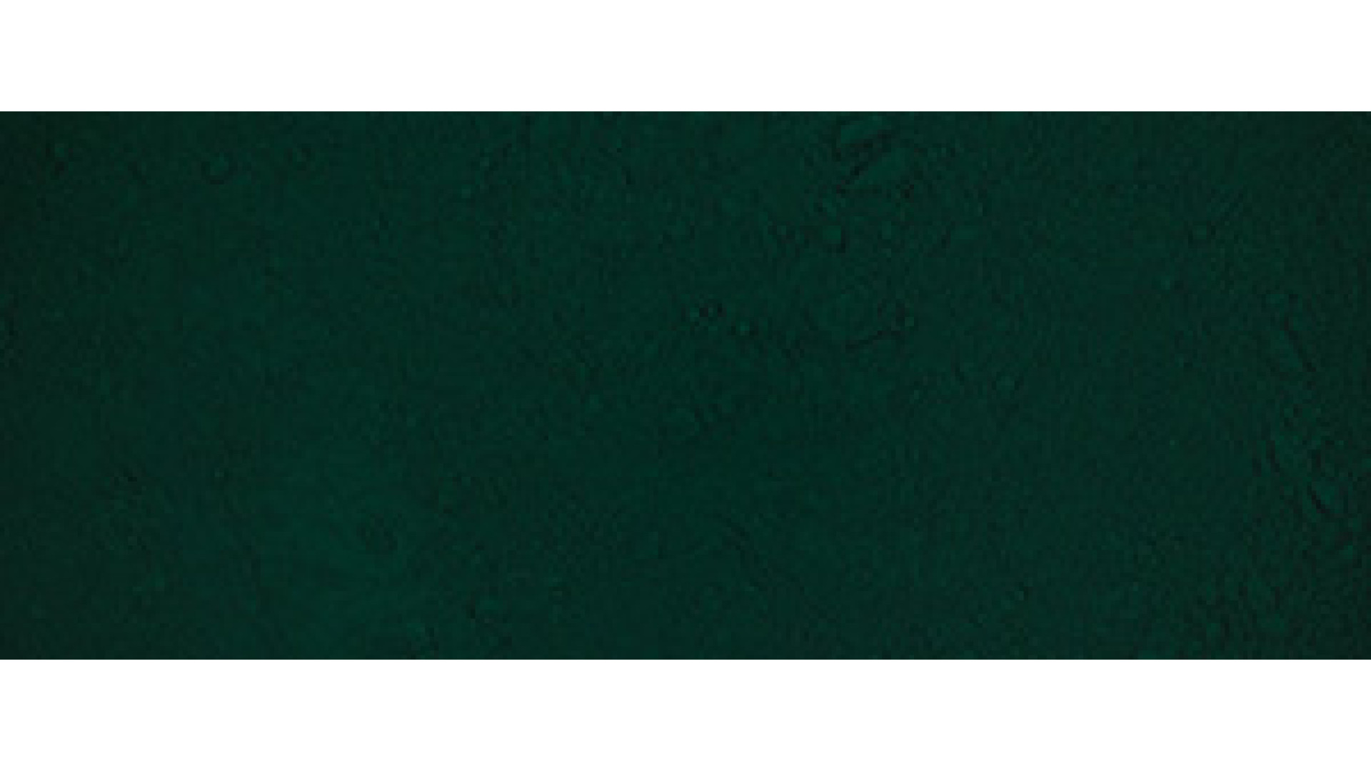 Renesans Pigment OLIVE GREEN PG8, 50g
