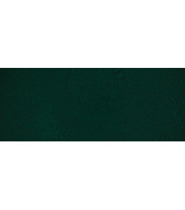 Renesans Pigment ZIELEŃ OLIWKOWA PG8 50g