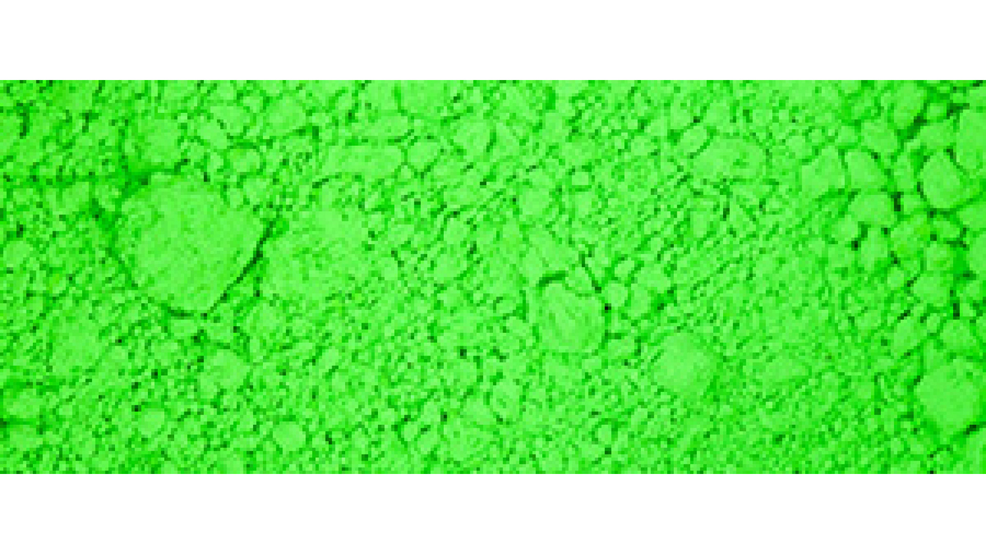 Renesans Pigment FLUORESCENT GREEN, 40g