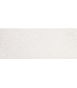 Renesans Pigment BIEL TRWAŁA (BLANC FIX) PW22 50g