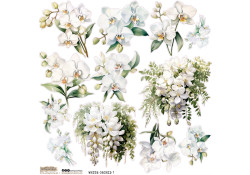 ScrapLove Naklejka BIAŁA ORCHIDEA 1, 24x24 cm