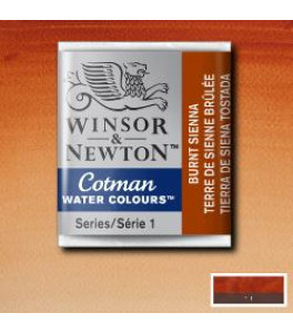 Winsor&Newton Cotman Farba akwarelowa Burnt Sienna 1/2 kostki