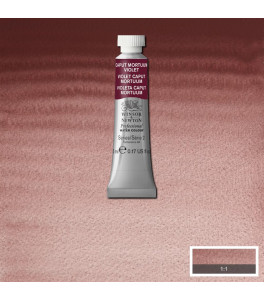 Winsor&Newton Farba akwarelowa Professional 5ml Caput Medium Violet