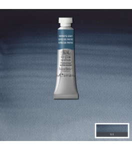 Winsor&Newton Farba akwarelowa Professional 5ml Paynes Grey