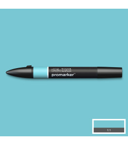 Winsor&Newton promarker Duck Egg (C528)
