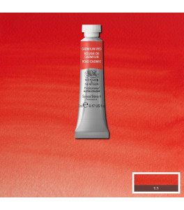 Winsor&Newton Professional Water Colour 5ml Cadmium Red 