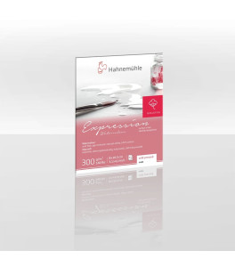 Blok akwarelowy 100% bawełna 12x10,5 cm 300g Hahnemuehle Expression