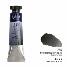 ROSA Gallery Watercolour Paint, Black Grape (747), Tube 10ml