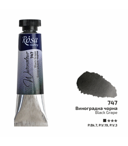 ROSA Gallery Farba Akwarelowa, Black Grape (747), Tuba 10ml
