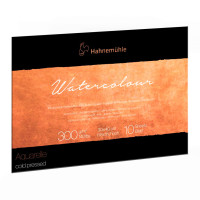 Hahnemuehle Blok THE COLLECTION WC 30x40 cm 300g 10k CP 100% bawełny