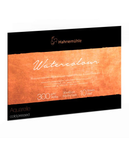 Hahnemuehle Block THE COLLECTION WC 30x40 cm 300g 10 sh CP 100% cotton