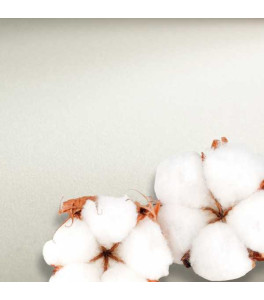 Hahnemuehle Arkusz do Akwareli THE COLLECTION 56x76 cm 300g HP 100% bawełny