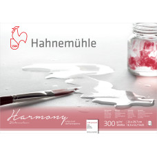 Hahnemuehle Blok HARMONY WC A4 300g 12k CP