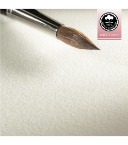 Hahnemuehle EXPRESSION WC Paper Sheet 70x100 cm 300g CP 100% cotton