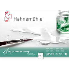 Hahnemuehle Pad HARMONY WC A4 300g 12 sheets HP