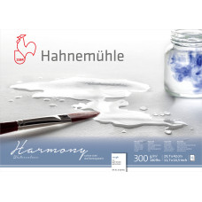 Hahnemuehle Pad HARMONY WC A3 300g 12 sheets Rough