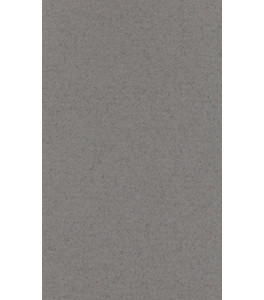 Pastel Paper LANACOLOURS 50x65 cm 160g Steel Grey