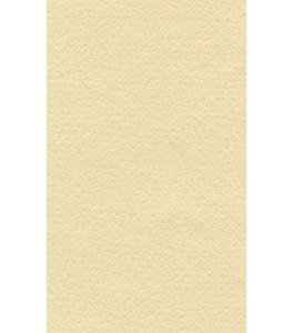 Pastel Paper LANACOLOURS 50x65 cm 160g Cream