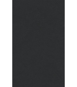 Papier do pasteli LANACOLOURS A4 160g black