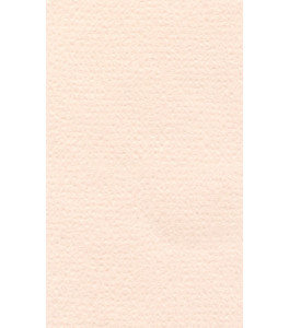 Pastel Paper LANACOLOURS 50x65 cm 160g Rose Quartz