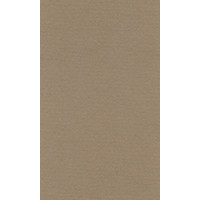 Papier do pasteli LANACOLOURS A4 160g brown