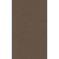 Papier do pasteli LANACOLOURS A4 160g dark brown