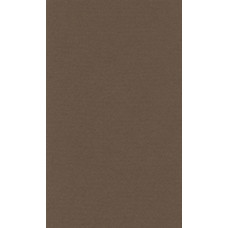 Pastel Paper LANACOLOURS 50x65 cm 160g Dark Brown