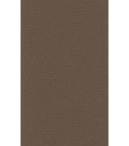Papier do pasteli LANACOLOURS 50x65 cm 160g dark brown