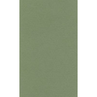 Papier do pasteli LANACOLOURS A4 160g sap green