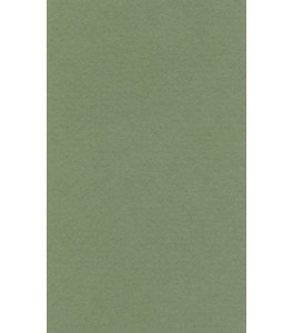 Papier do pasteli LANACOLOURS A4 160g sap green