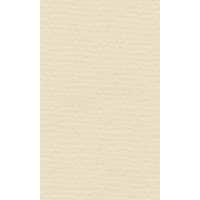 Papier do pasteli LANACOLOURS A4 160g ivory