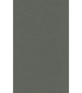Papier do pasteli LANACOLOURS A4 160g ivy