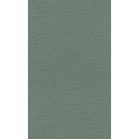 Papier do pasteli LANACOLOURS A4 160g sage