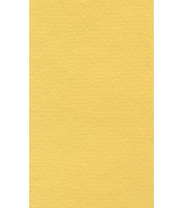 Papier do pasteli LANACOLOURS 50x65 cm 160g canary