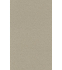 Papier do pasteli LANACOLOURS 50x65 cm 160g pearl