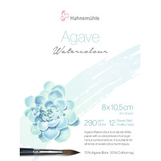 Hahnemuehle Block Agave Watercolour 8x10,5 cm 290g 12 sheets