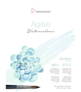 Hahnemuehle Block Agave Watercolour 30x40 cm 290g 12 sheets