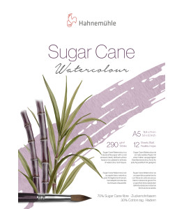 Hahnemuehle Blok do Akwareli SUGAR CANE A5 290g 12k