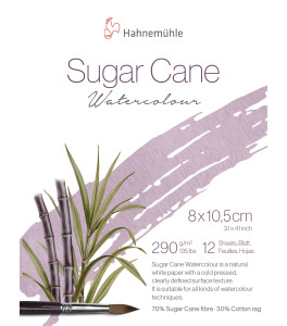 Hahnemuehle Blok do Akwareli SUGAR CANE 8x10,5 cm 290g 12k