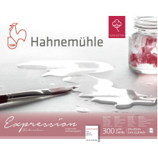 Hahnemuehle Block EXPRESSION WC 24x30 cm 300g 20 sh CP 100% cotton