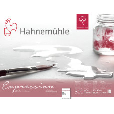 Hahnemuehle Block EXPRESSION WC 30x40 cm 300g 20 sh CP 100% cotton