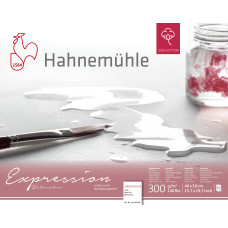 Hahnemuehle Blok EXPRESSION WC 40x50 cm 300g 20k CP 100% bawełny