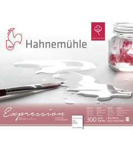 Hahnemuehle Blok EXPRESSION WC 40x50 cm 300g 20k CP 100% bawełny