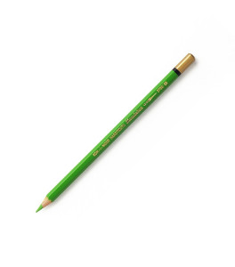 Koh–I–Noor Watercolor Pencil Mondeluz 3720–58 Light Green