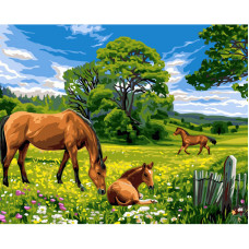 Paint by Numbers Horses in a Meadow NIKI4 40 × 50 cm DIY Painting Kit