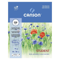 Blok do akwareli Canson STUDENT 30x40 cm 250g 10a 