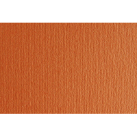 Papier Fabriano Elle Erre 220g Aragosta A4