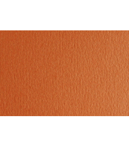 Papier Fabriano Elle Erre Aragosta 220g 70x100 cm
